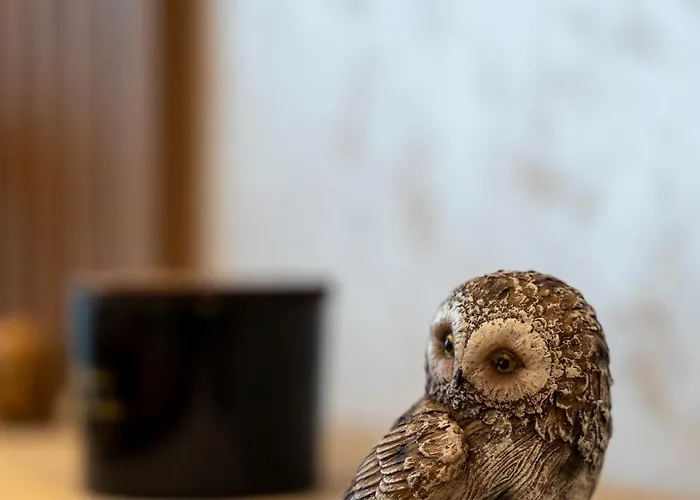 公寓 Gomax 3 M Lux ,